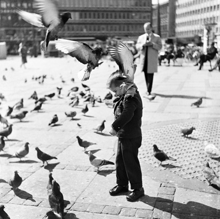 boywithpigeons59